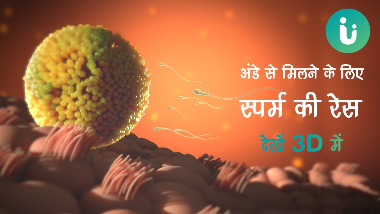 स्पर्म की अंडे से मिलने की दौड़ है कितनी दिलचस्प, देखें 3D में - Fertilisation in Hindi