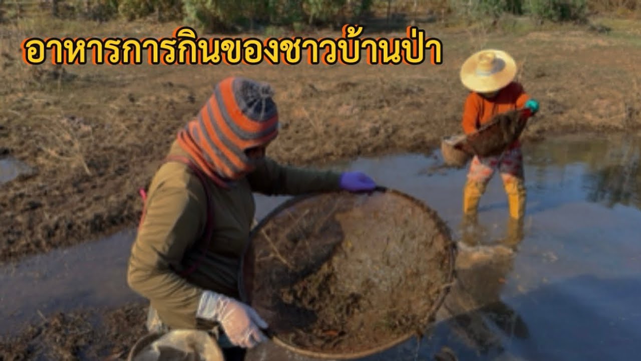อาหารการกินของชาวบ้านป่า #บ้านป่า #fish 