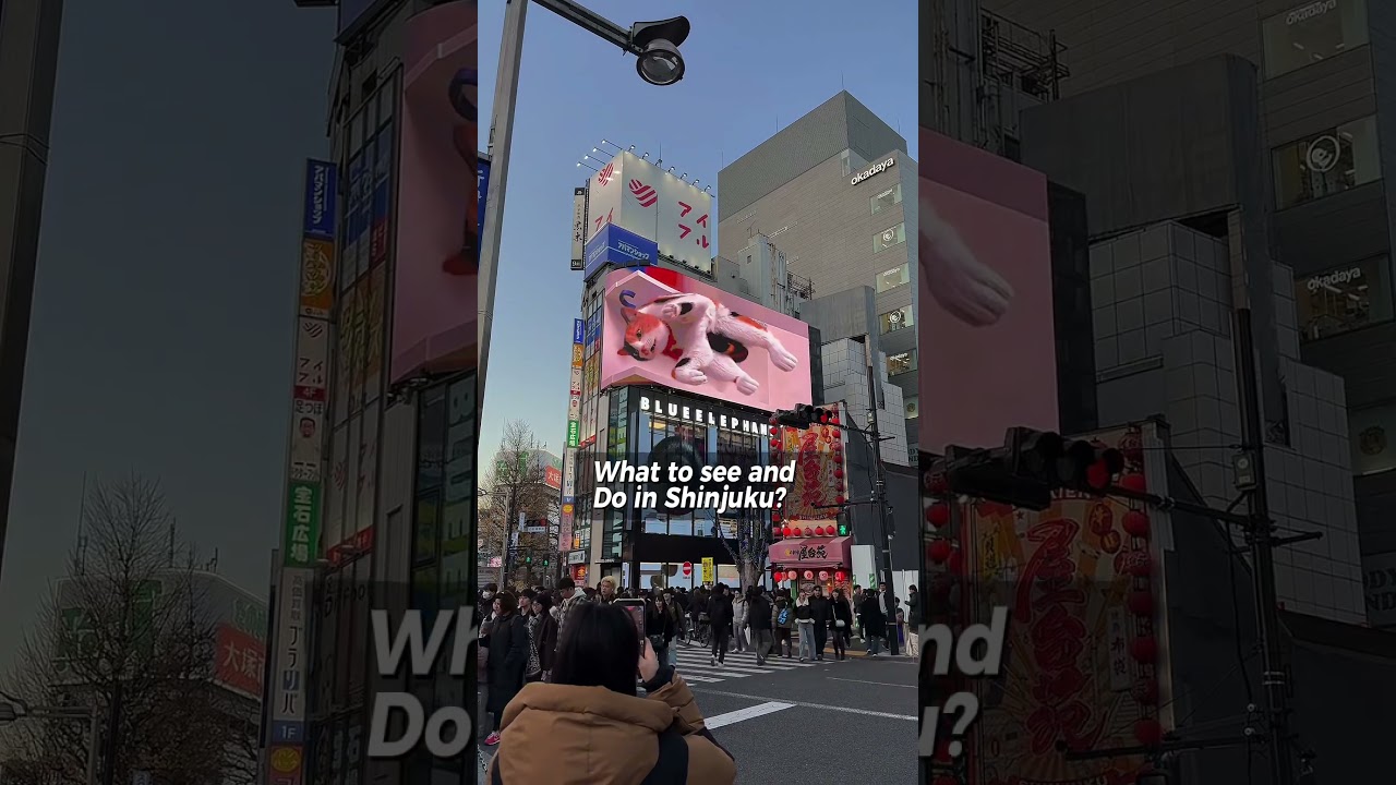 Shinjuku Tokyo 3D cat and Godzilla 