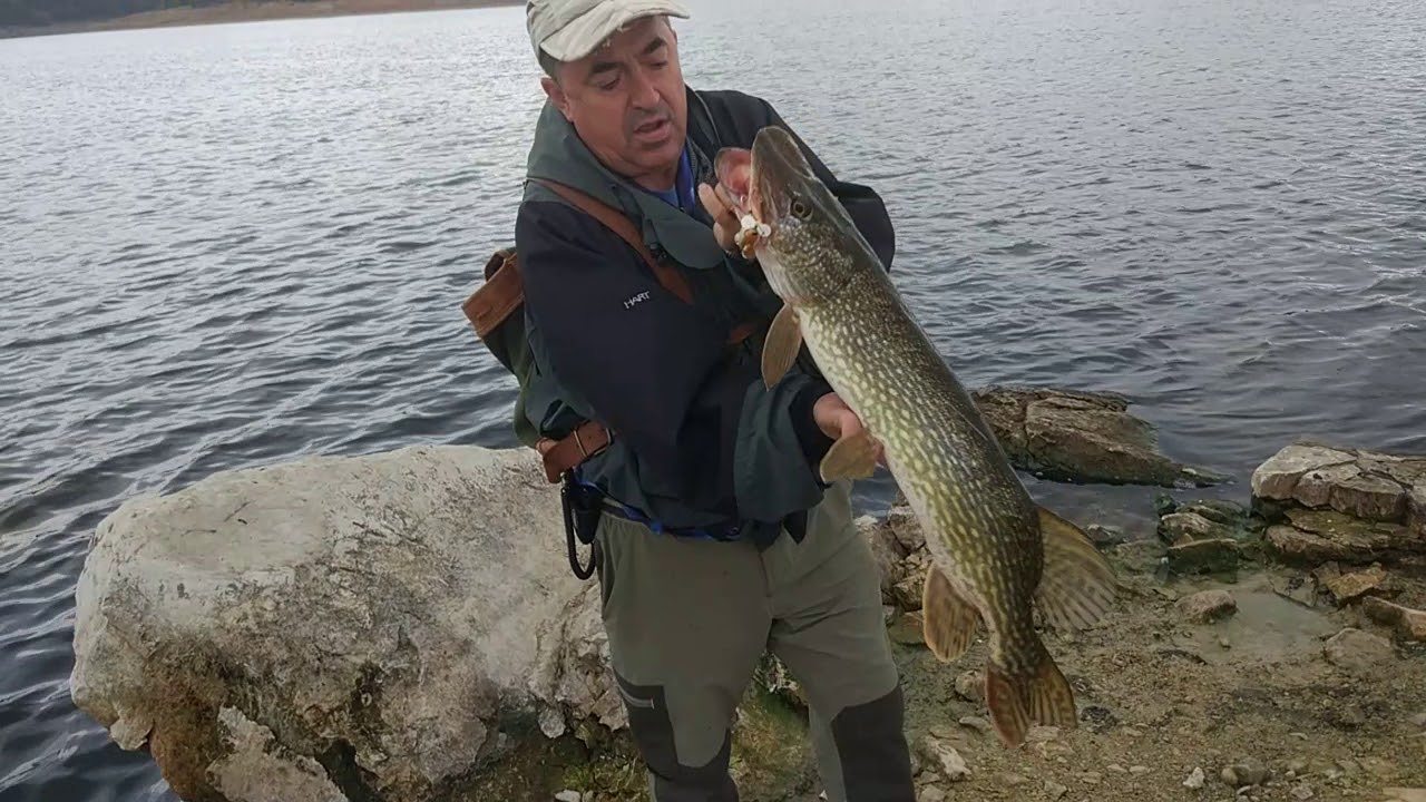 Pescando Lucios con mi Spinnator naranja JR