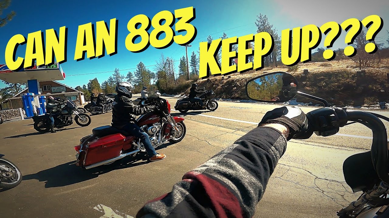 Can the 883 Sportster keep up with the big twins?!