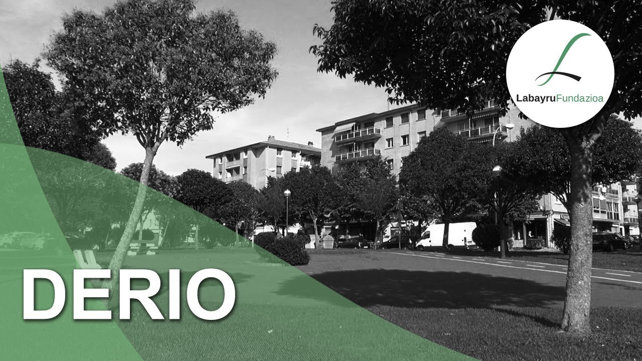 Labayru &minus; Derio: zoriaren habia. Ondarea ezagutuz