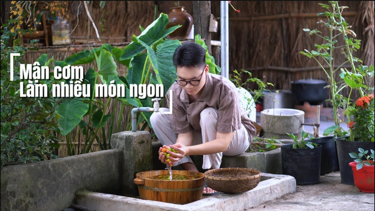 Mận cơm đầu mùa đem ngâm đường, gỏi gà mận cơm, canh chua mận… ăn cùng gia đình | Mạnh Tây Nguyên