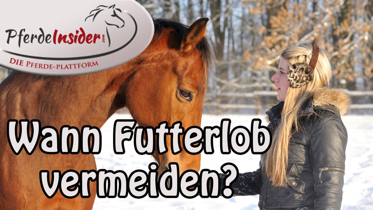 Futterlob: Wann es zu vermeiden ist!