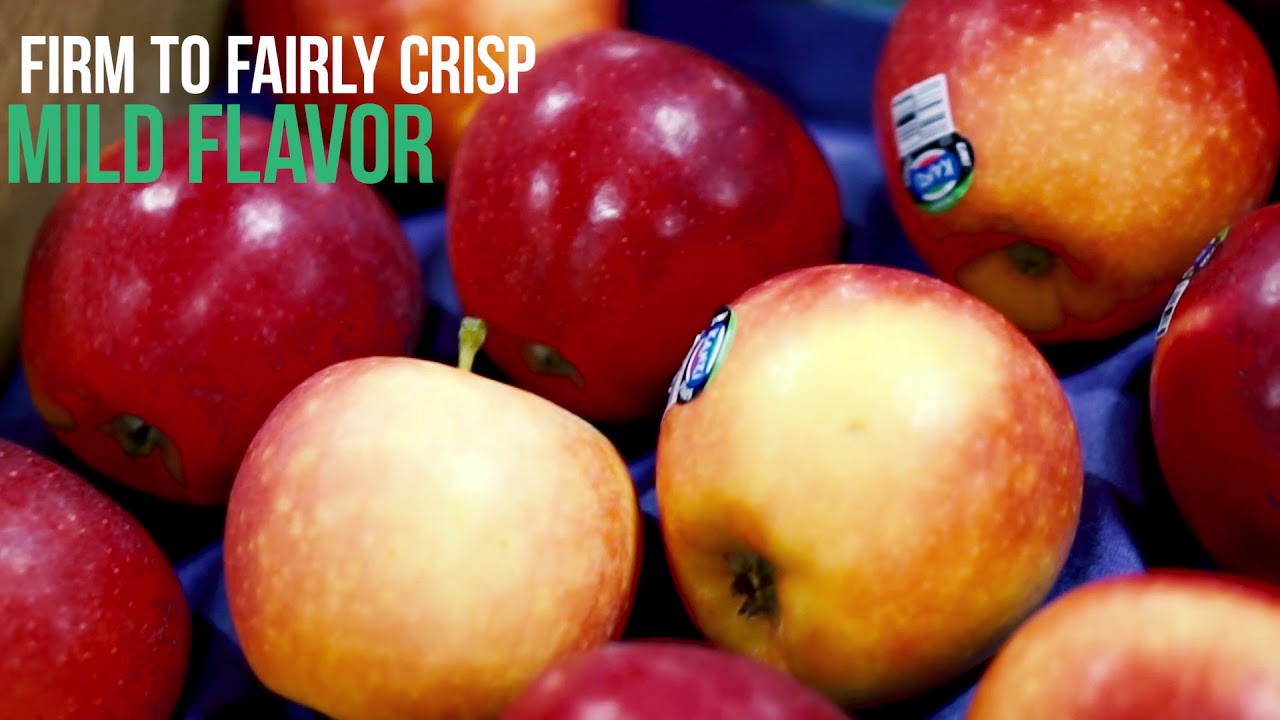 Kiku, Kanzi, and Envy Apples - Produce Insider // 12.8.17