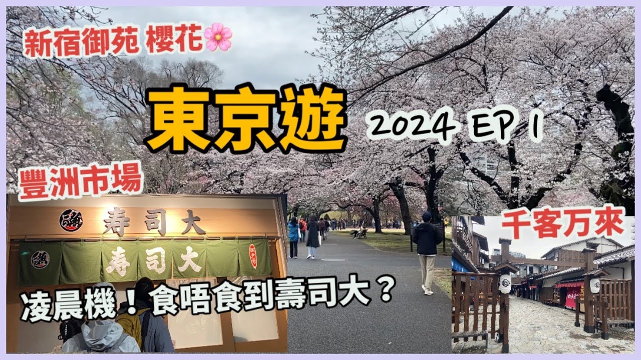 東京自由行 2024 EP1 | 凌晨機去羽田機場 | 衝去豐洲市場食壽司大，食唔食到？！| 新開業的千客万來 | 新宿御宛 看櫻花 | Sakura | 桜 | 4月日本遊Vlog🌸