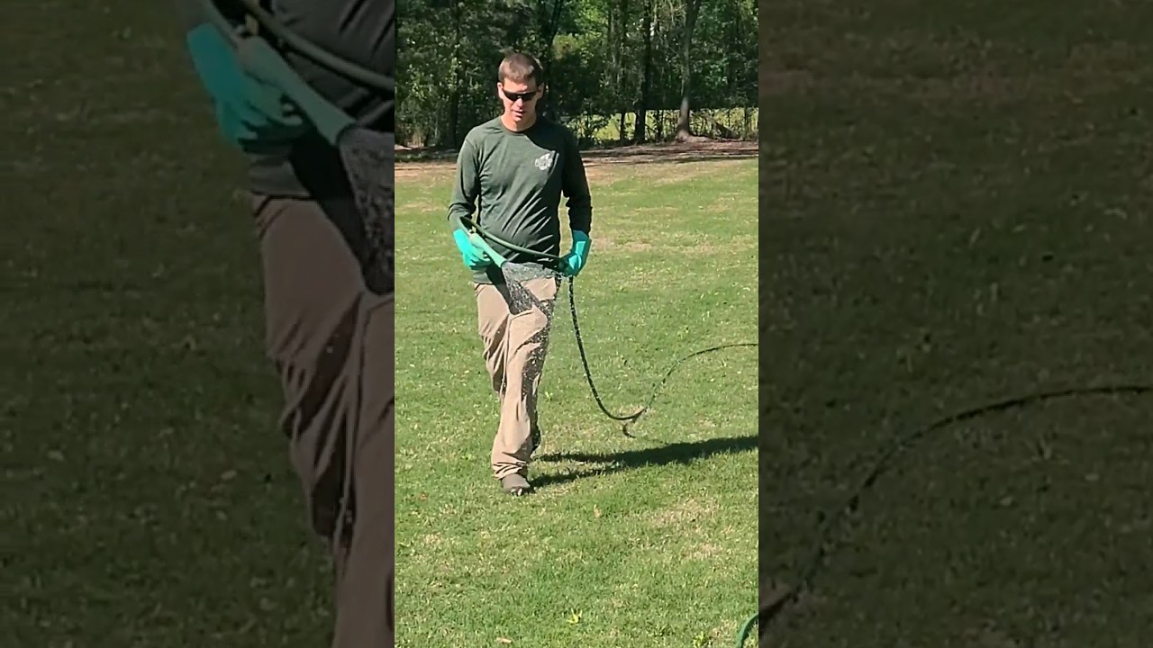 Spraying Lawns is Great Business