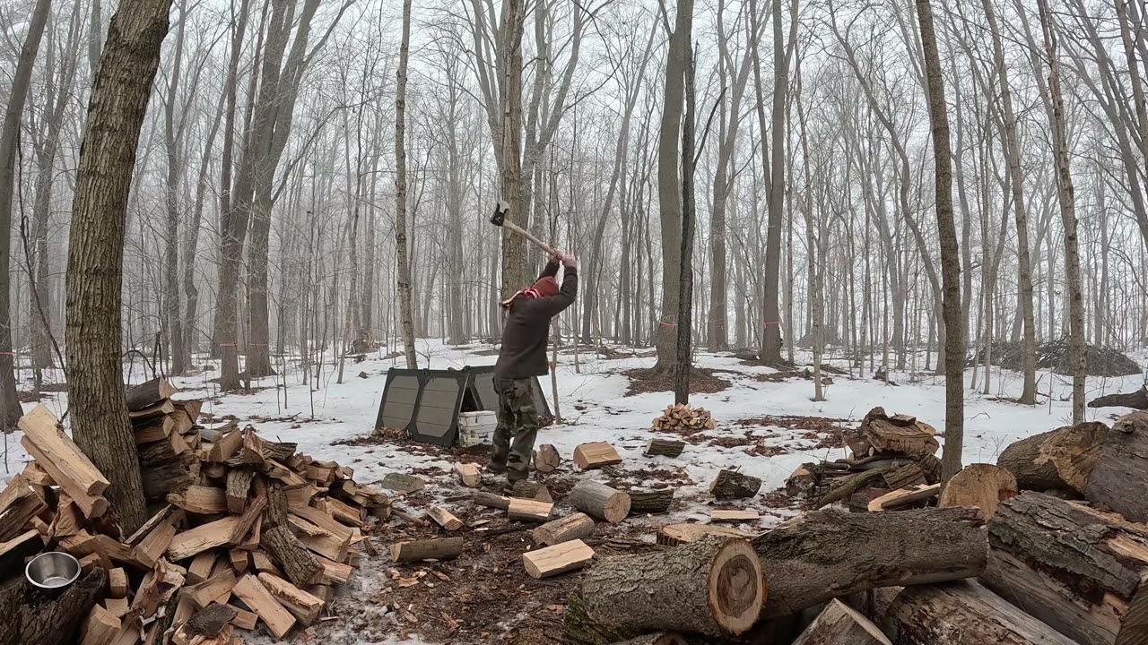 Daily Firewood: Day 21. Foggy day in the woods.