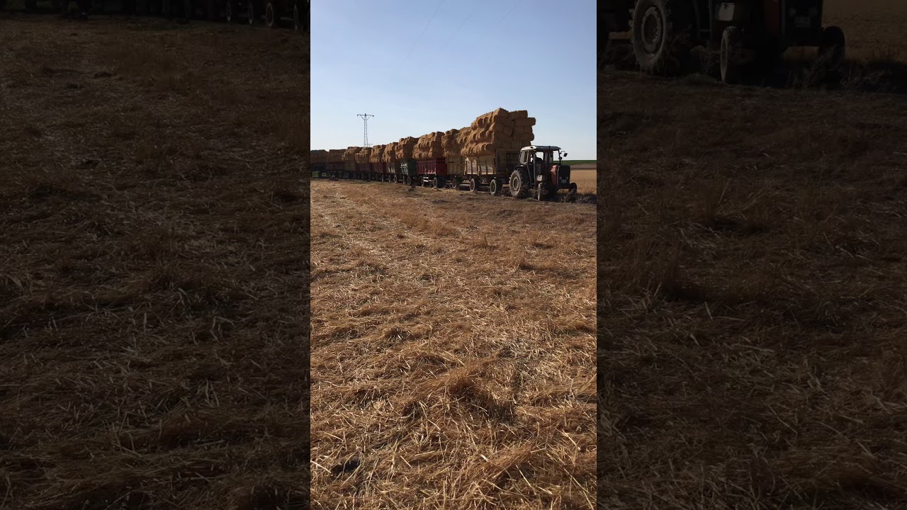 265 MASSEY FERGUSON 10 RÖMORK BALYA ÇEKMESİ