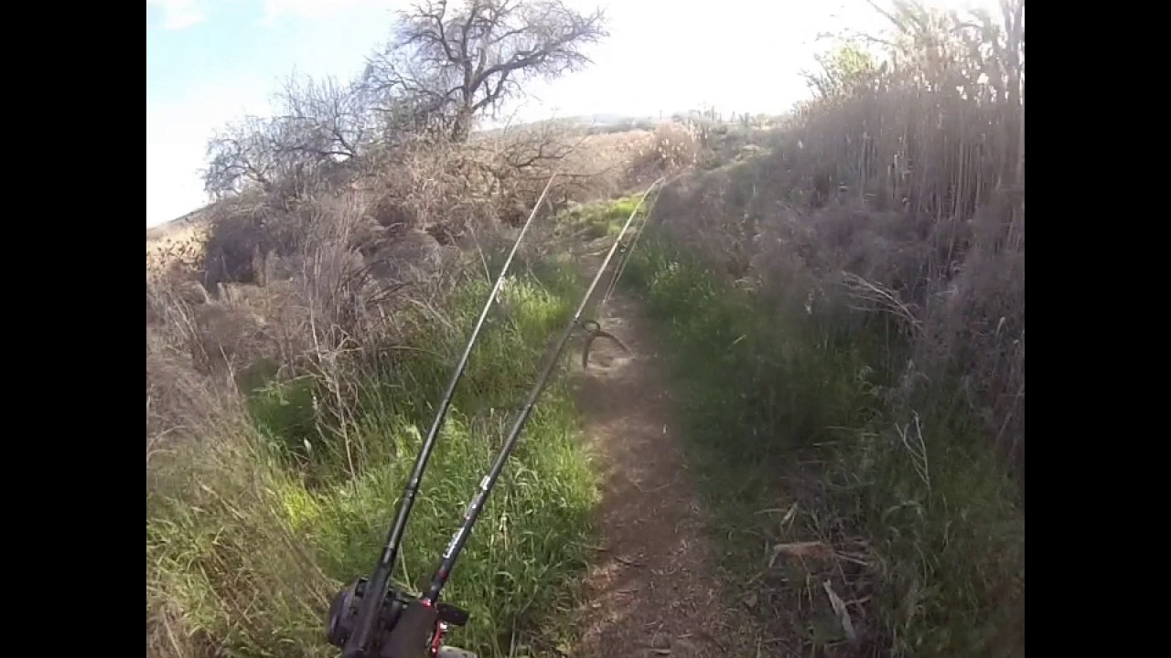 Burbank Largies 2017 6lber!!