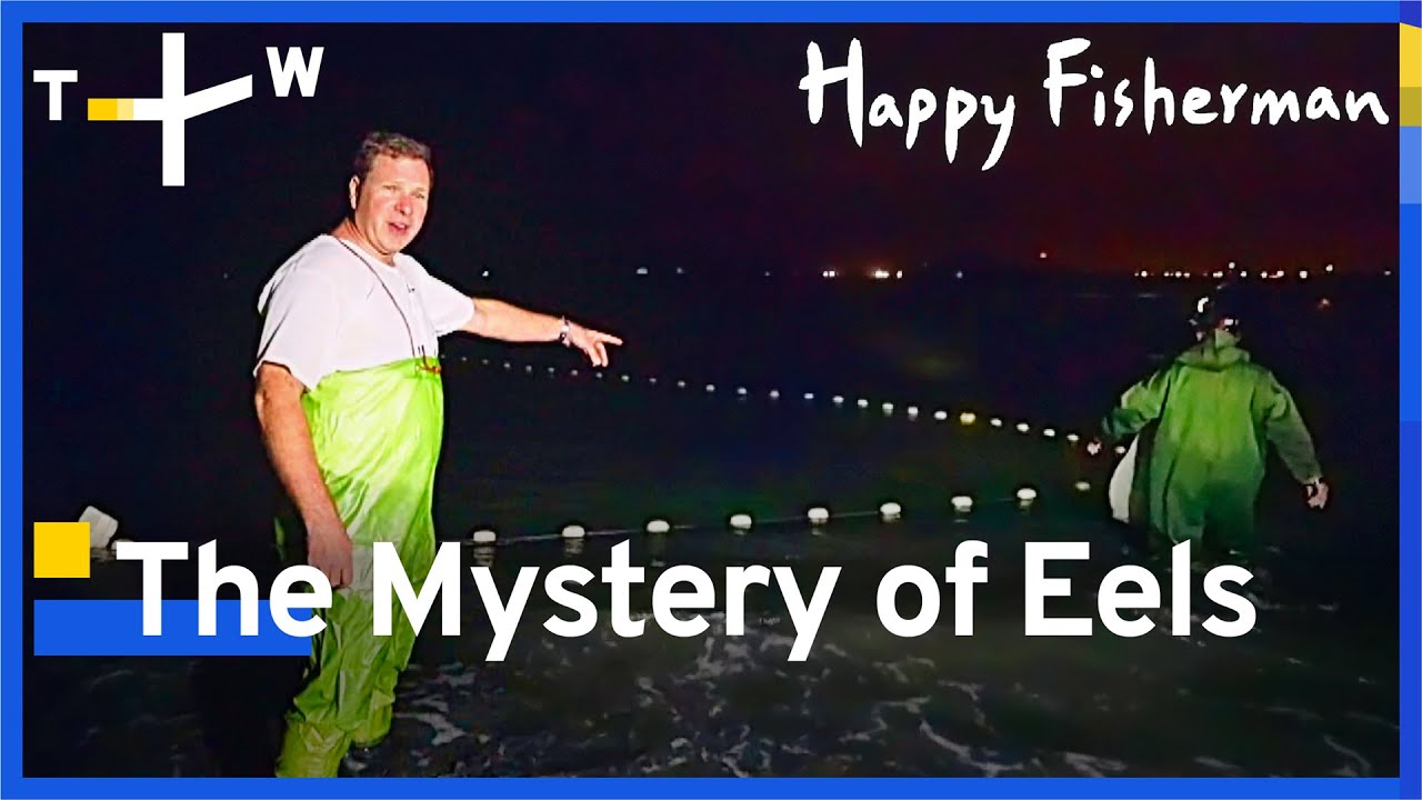 Chasing Taiwan's Elusive Baby Eels: A Nighttime Adventure in Yilan | EP. 3 | Happy Fisherman