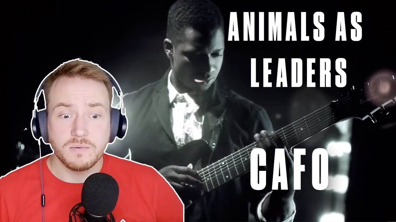 ВПЕРВЫЕ РЕАКЦИЯ НА ЖИВОТНЫХ КАК НА ЛИДЕРОВ (Cafo) 🎸🥁🔥