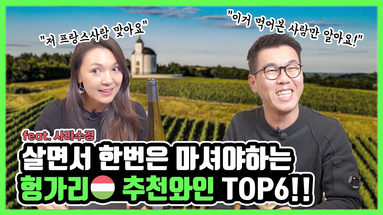 살면서 꼭 마셔야하는 헝가리 와인추천 TOP6 