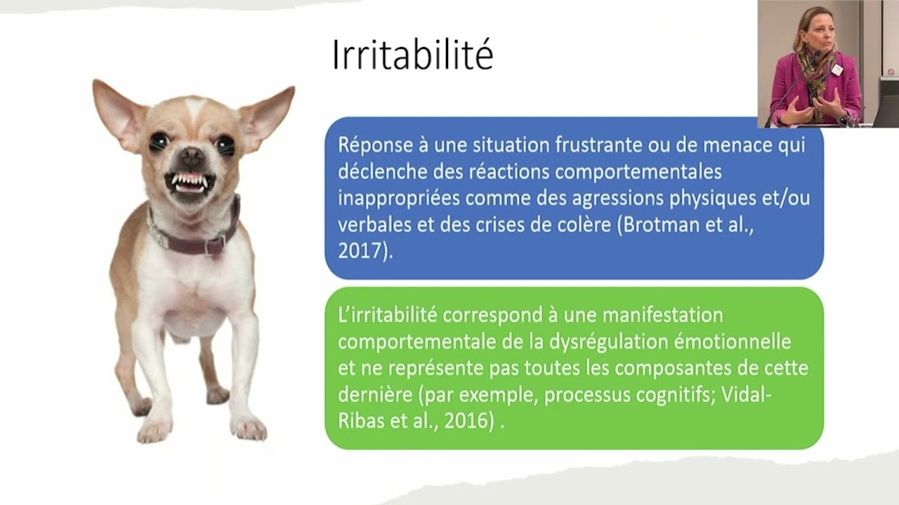 TDAH et difficultés émotionnelles chez l’enfant et l’adolescent par Diane Purper-Ouakil
