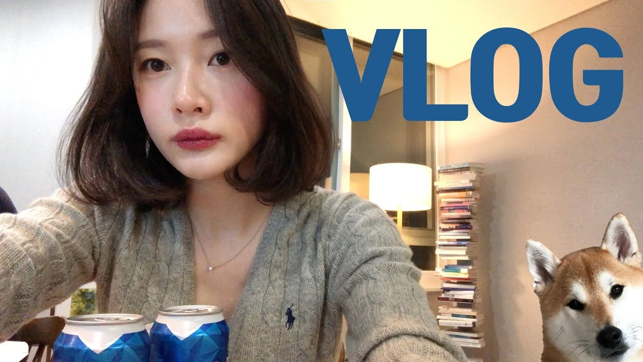 [브이로그-VLOG]가을 일상 브이로그(갈쿡 닭볶음탕/김밥 싸기/멕시카나 치킨 양반후반 치즈볼/맥주 오지게 먹기/외출준비/등산/돈까스 김치찌개/시바견 택이)