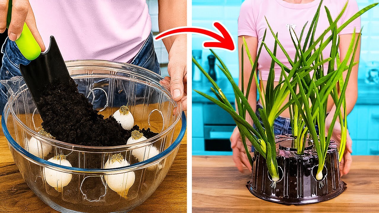 🌱 GENIALE GARTENTRICKS, UM FR&Uuml;CHTE & GEM&Uuml;SE ZU HAUSE ANZUBAUEN! 🍓🥕
