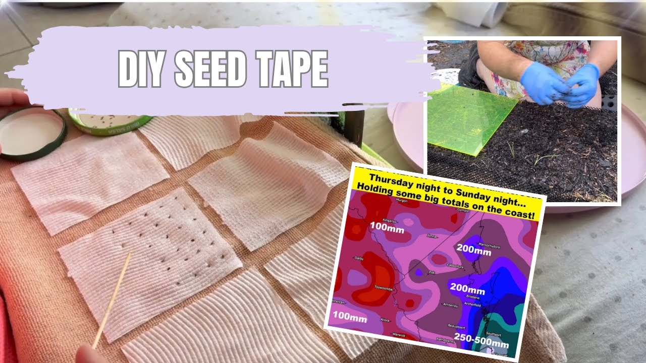 Winter Garden Diaries | EP 7 | planting before the big rain and DIY seed tape