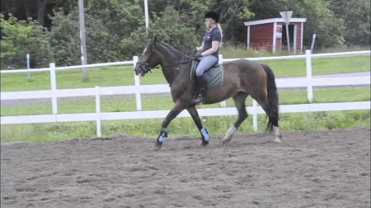 Introfilm - hest.no