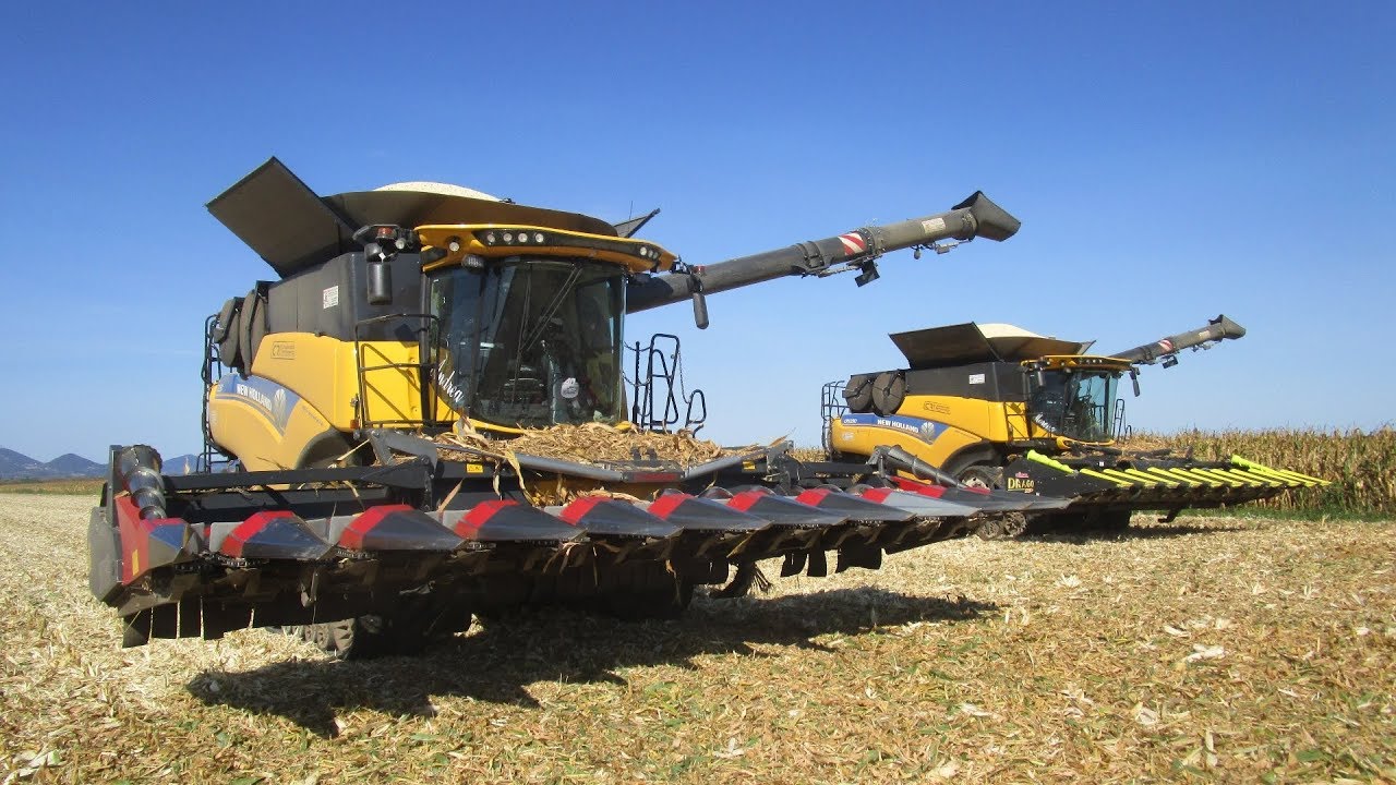 White corn harvest 2017 - 2 New Holland CR 10.90 - Rosina