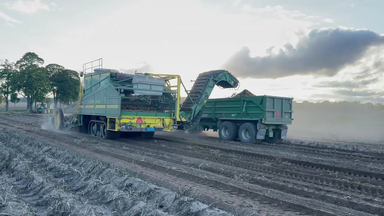 Ploeger potato harvester AR-4W selfpropelled  FOR SALE!!