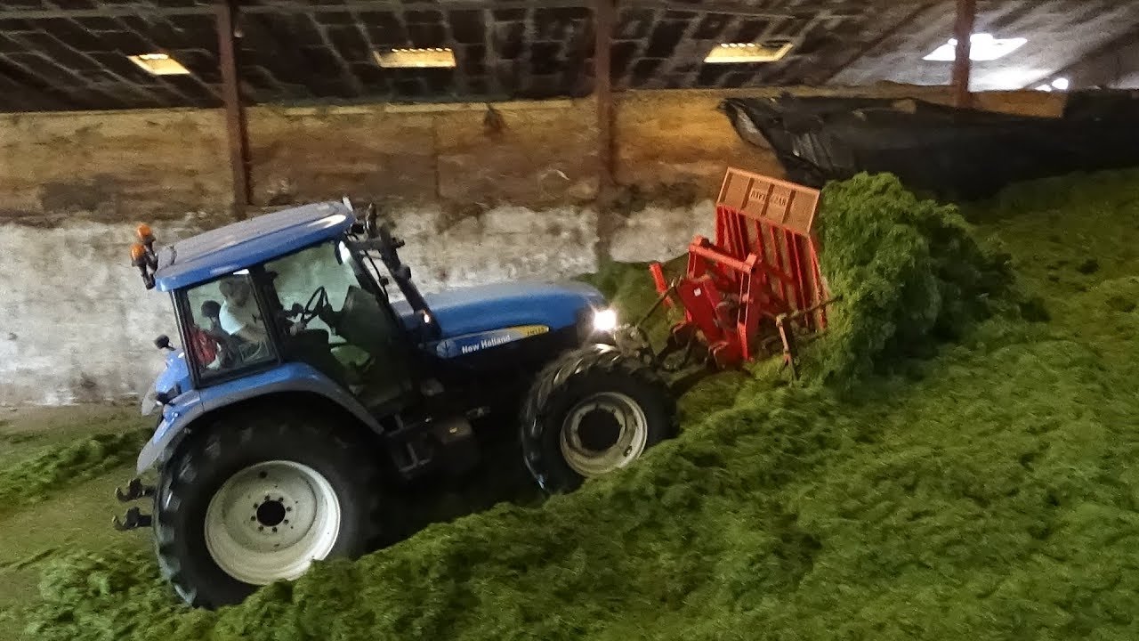 Fell Silage - On the Pit - Buckraking with New Holland TM155 - Silage 2018