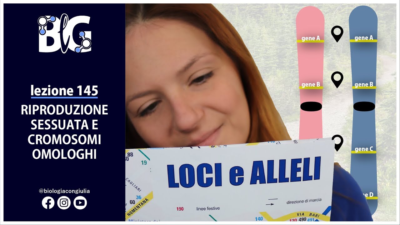 RIPRODUZIONE SESSUATA e CROMOSOMI OMOLOGHI