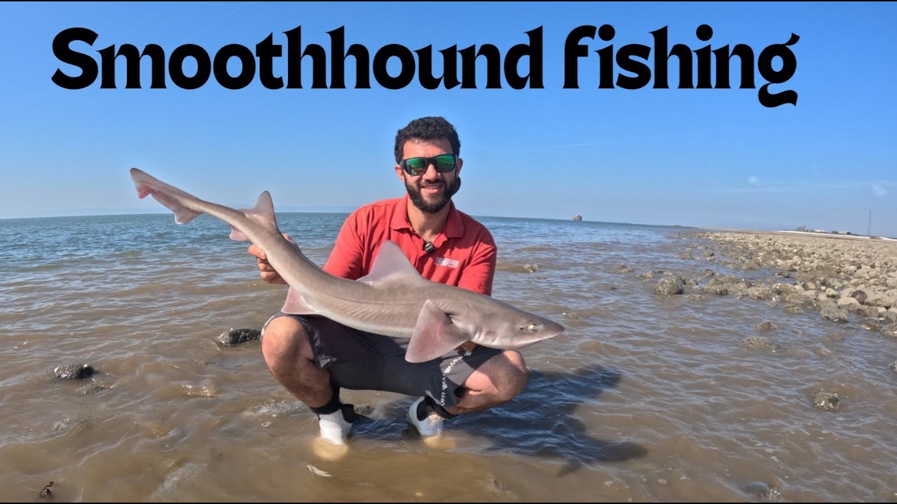 Smooth Hound fishing at East Abverthaw, South Wales