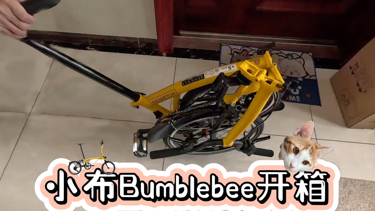 Daily｜Brompton bumblebee Asia limited unboxing with my Cat