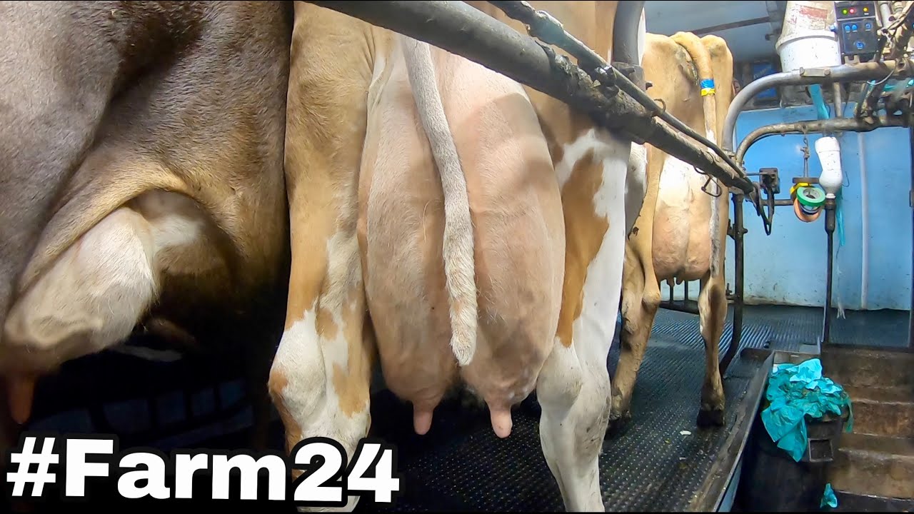 #FARM24 ! ALL THE SMALL THINGS FARMERS DO FOR THE BIGGER PICTURE!