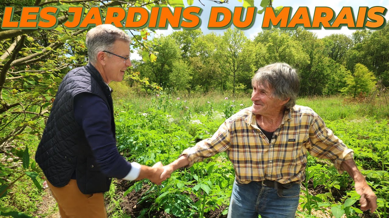 LE TOUR DE JARDIN AU MOIS DE JUIN (Pommes de terre, tonte) - Au fil des Saisons avec Yves Gillen 👨‍🌾