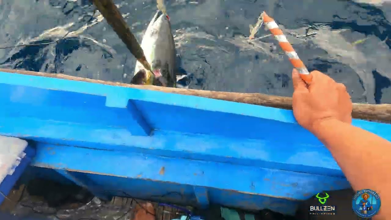 Intense full fight January 2026 || Fishing Jigging Philippines ||