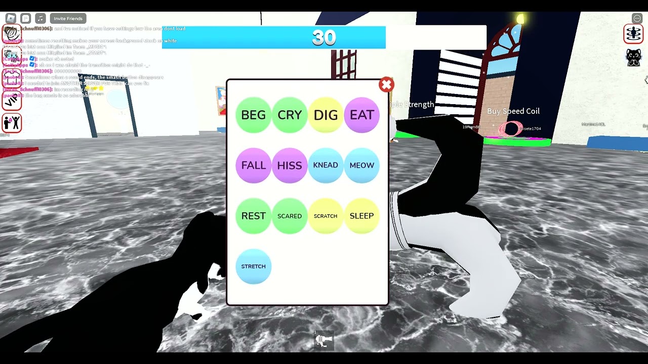 (BAD CAT) NEW ANIMATIONS WITH OWNER IN SERVER OMG!!! (Roblox)