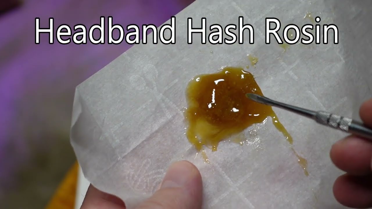 HEADBAND by Pure Sunfarms
