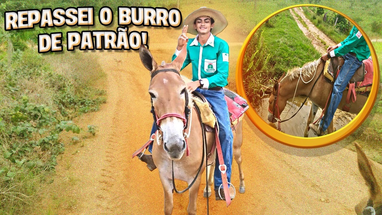 Andei no BURRO DE PATR&Atilde;O, ap&oacute;s muitos dias sem montar|ADB