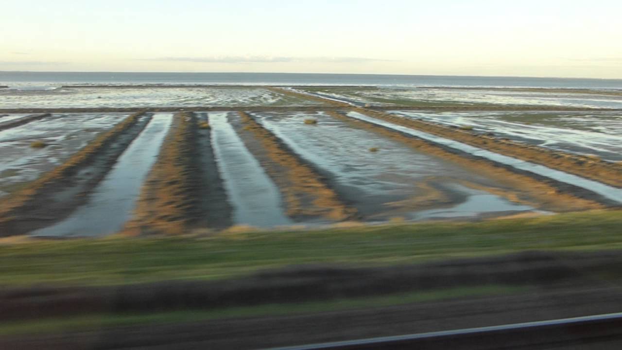 Fahrt von Sylt aufs Festland über den Hindenburgdamm (Nordseite)