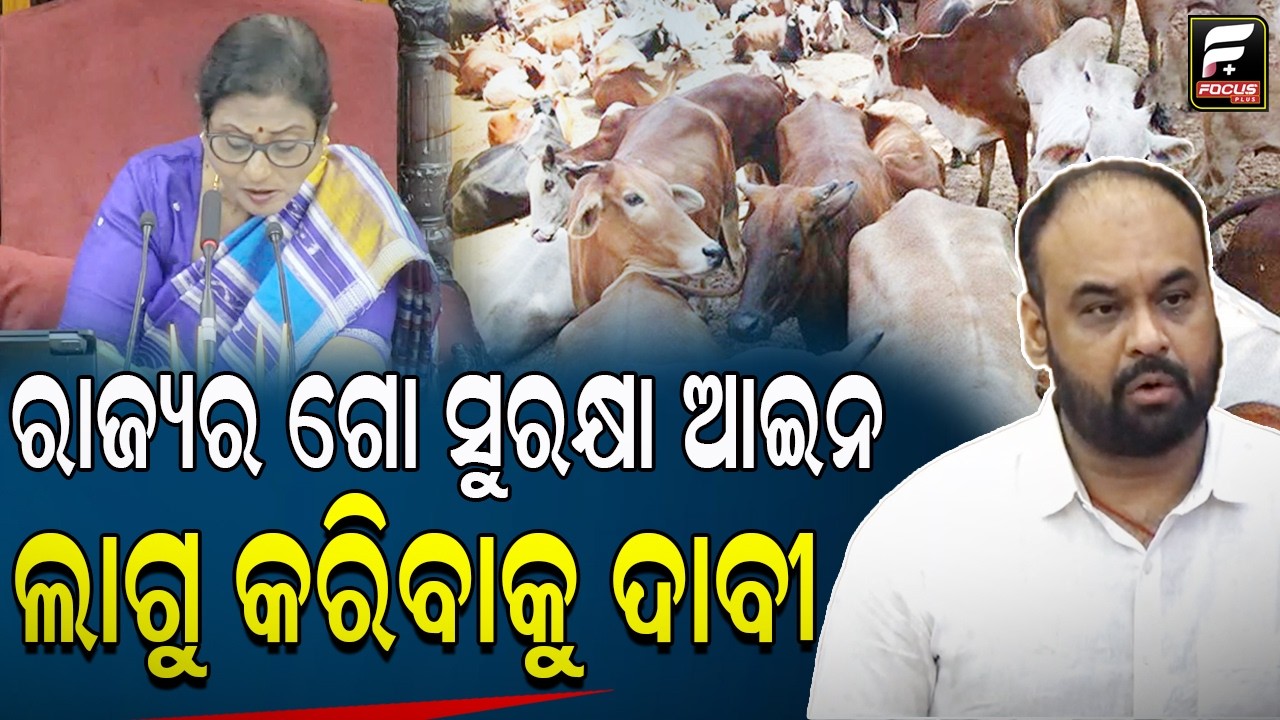 ରାଜ୍ୟରେ ଗୋ ସୁରକ୍ଷା ଆଇନି ଲାଗୁ କରିବାକୁ ଦାବି ll FOCUS PLUS ||