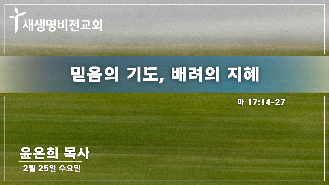 [수요새벽]  