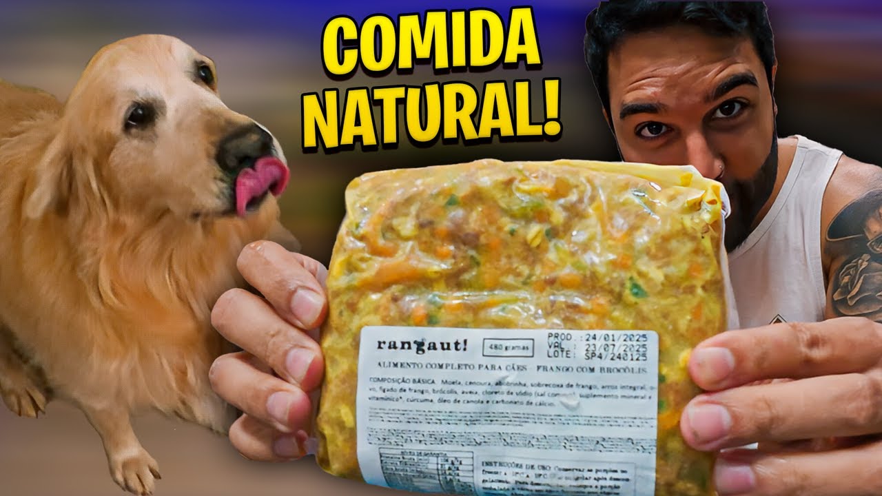 Troquei a RAÇÃO dos meus cachorros por COMIDA NATURAL 😋