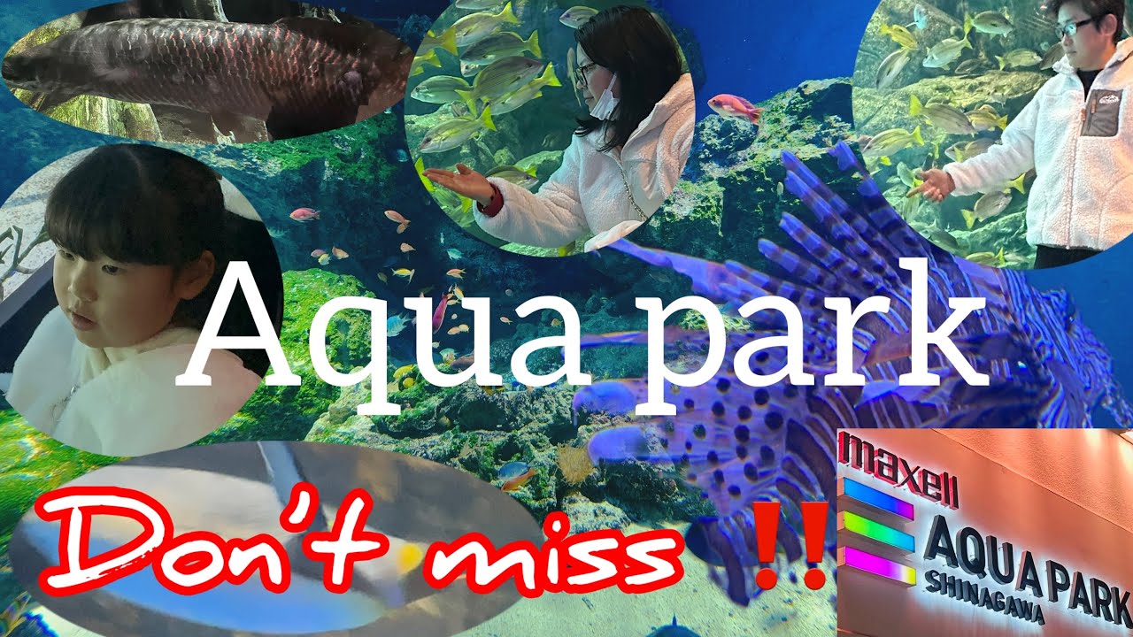 Most popular aquarium park in Japan 