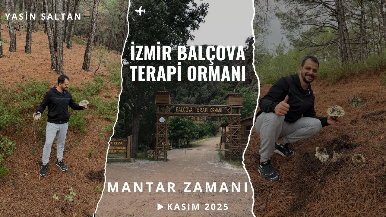 İZMİR BALÇOVA TERAPİ ORMANI MANTAR TOPLADIK #mantar #izmir