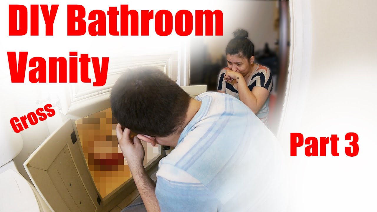 DIY Bathroom Vanity Build | PART 3 | Demo and Install