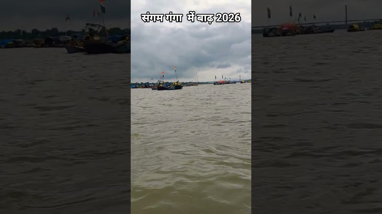 Sangam Flood Prayagraj Update 2026#sangam #prayagraj #ganga #flood #prayagrajflood #shortvideo