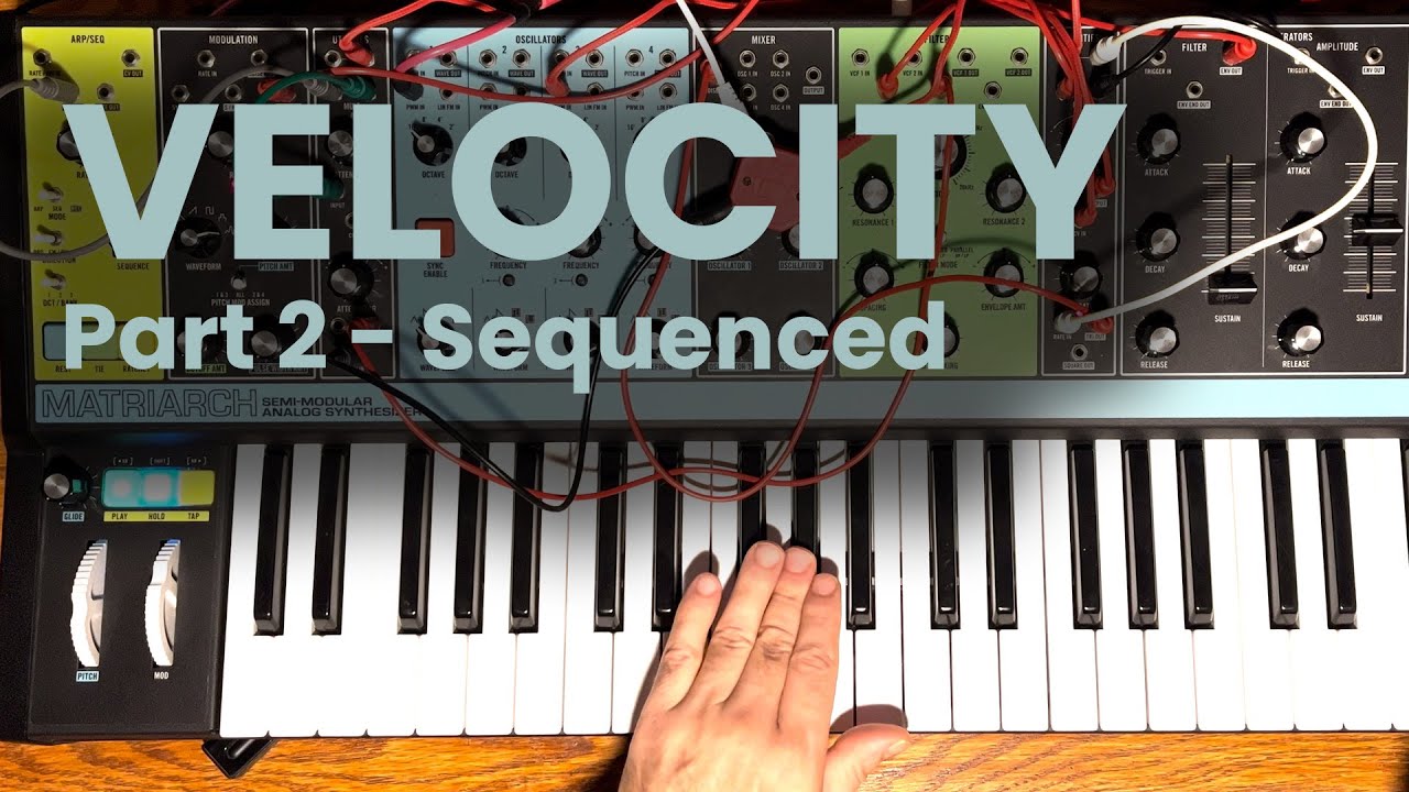 Установка Velocity на Moog Matriarch — Часть 2