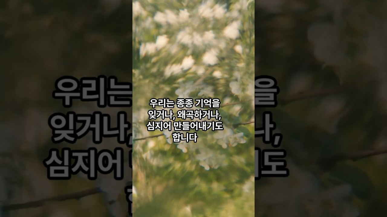 인간의 뇌 미지의 영역 꿈과 기억의 과학적 탐구