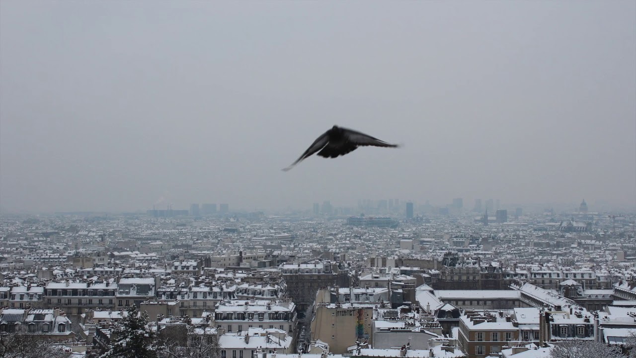 Conduite auto sur la neige à Paris-Montmartre
