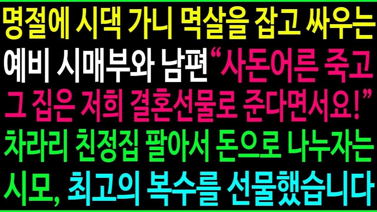 명절에 시댁에 가니 서로 멱살 잡고 다투는 예비 시매부와 남편, 친정집을 결혼 선물로 주기로 했다는데   차라리 집 팔아서 돈으로 나누자는 시모 말에 최고의 복수를 선물했습