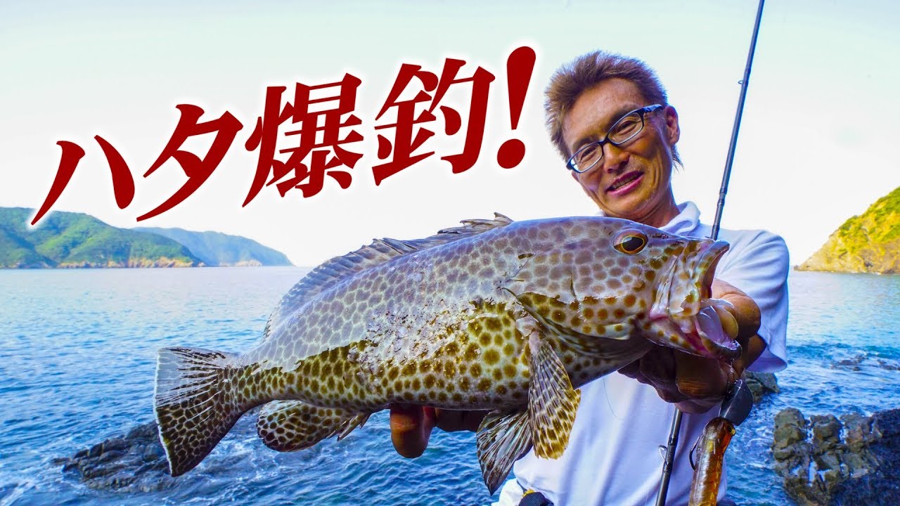 【ハタゲーム】秋ロックスイミング戦術～村上晴彦