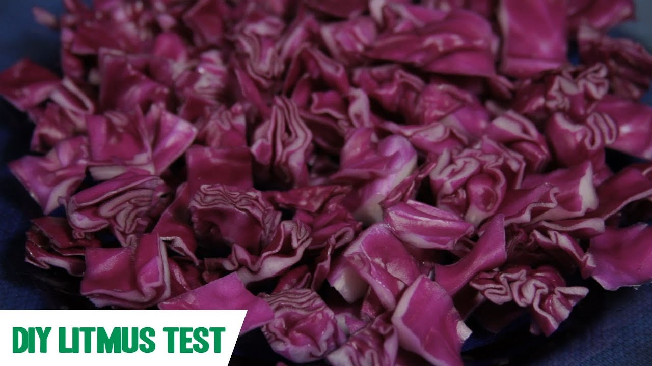 Litmus Test: SciShow Experiments