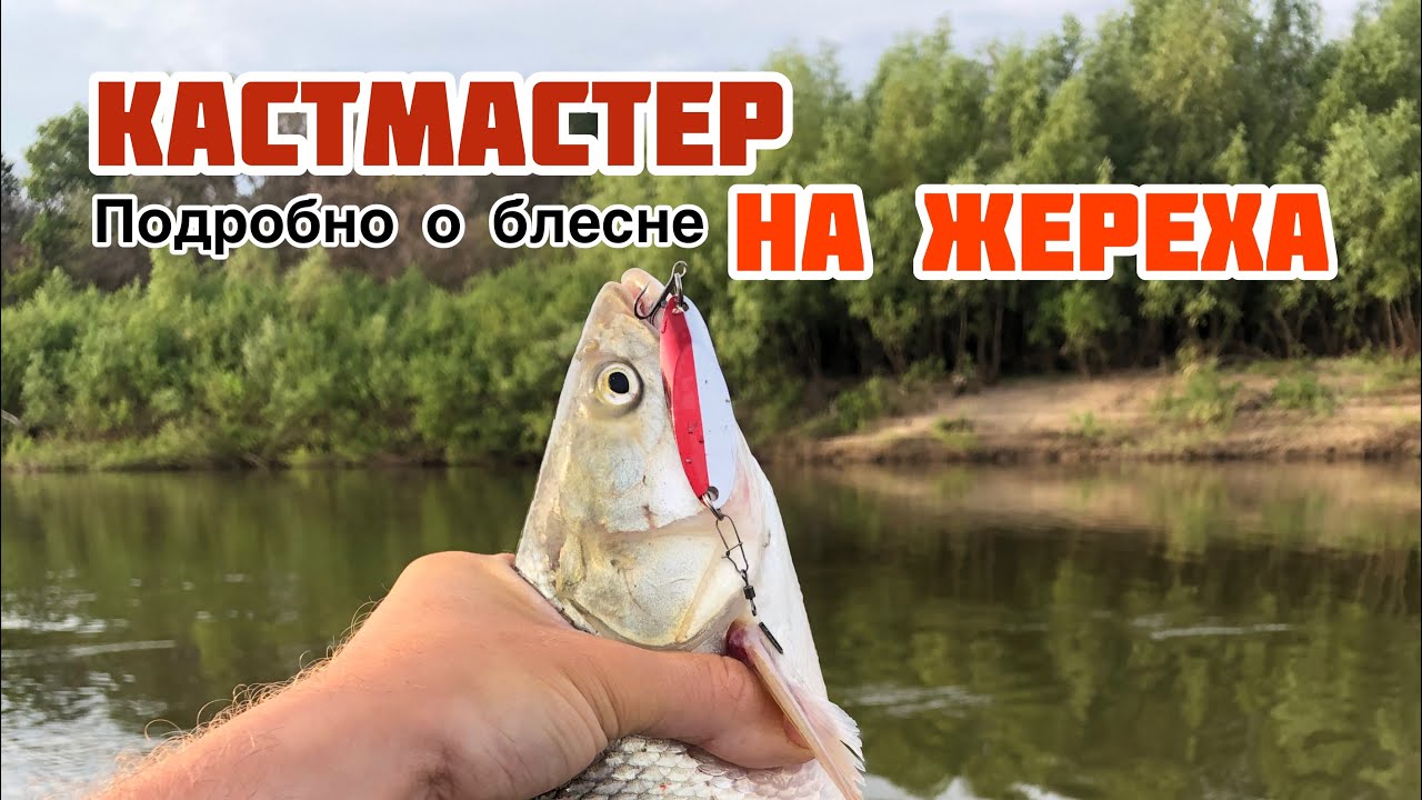 КАСТМАСТЕР НА ЖЕРЕХА | ВСЕ О БЛЕСНЕ КАСТМАСТЕР