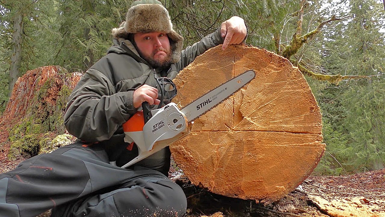 Will this ELECTRIC CHAINSAW CUT THIS MASSIVE LOG?! Lithium Battery Powered Stihl MSA200 Saw TEST